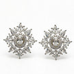 Crystal Starburst Bloom 925 Silver Stud Earrings